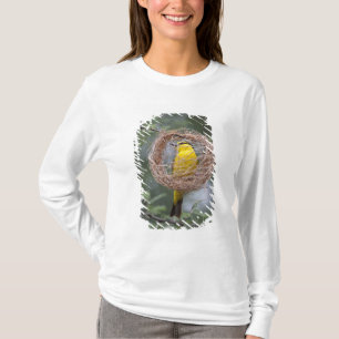 Camiseta África. Tanzânia. Tecelão-de-pescoço-preto fêmea