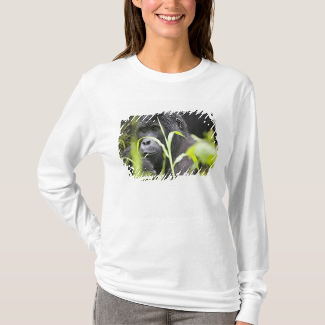 Camiseta África Uganda, Bwindi (Frente)