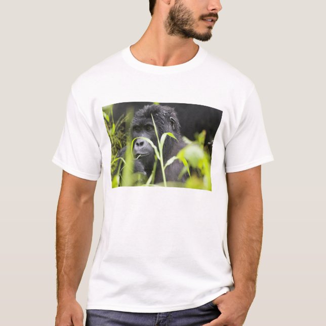 Camiseta África Uganda, Bwindi (Frente)