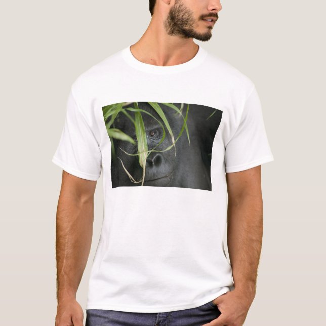 Camiseta África, Uganda, Bwindi (Frente)