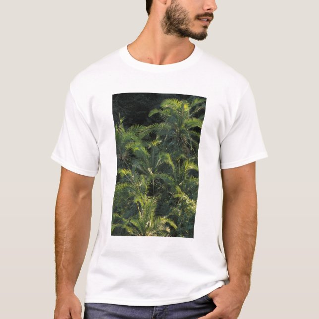 Camiseta África, Zâmbia, Parque Nacional Mosi-Oa-Tunya, (Frente)