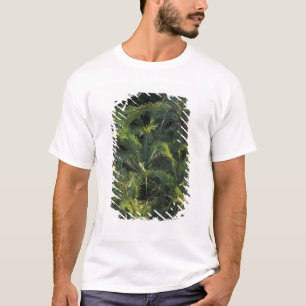 Camiseta África, Zâmbia, Parque Nacional Mosi-Oa-Tunya,