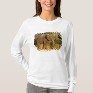 Camiseta África, Zimbábue, Parque Nacional Cataratas Vitóri