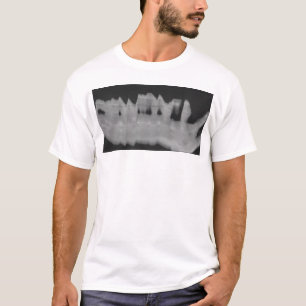 Camiseta agridoce 1