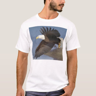 Camiseta águia