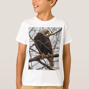 Camiseta Águia americana