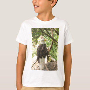 Camiseta Águia americana