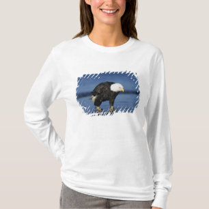 Camiseta Águia Americana