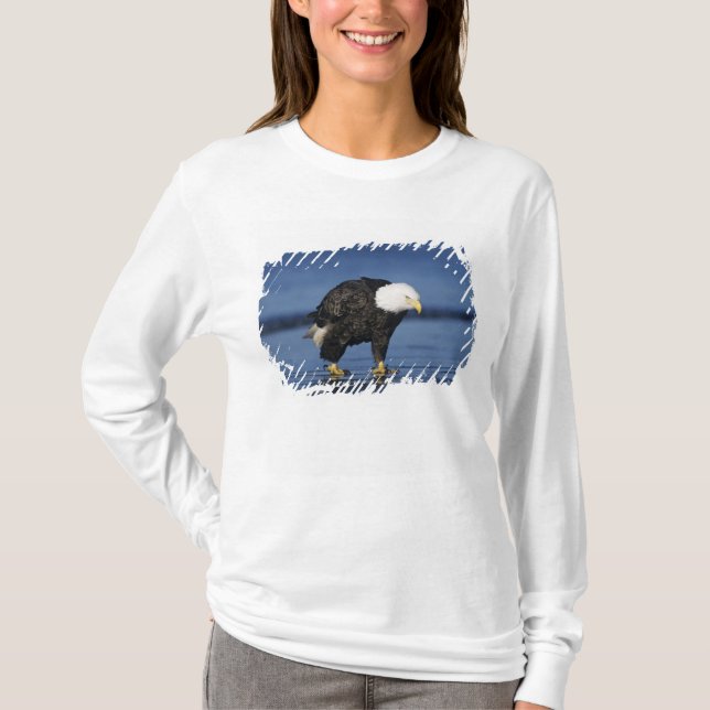Camiseta Águia Americana (Frente)