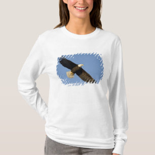 Camiseta Águia Americana, Haliaeetus leucocephalus, Homer,