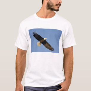 Camiseta Águia Americana, Haliaeetus leucocephalus, Homer, 
