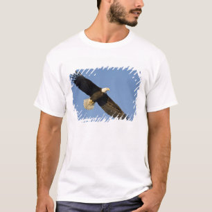 Camiseta Águia Americana, Haliaeetus leucocephalus, Homer,