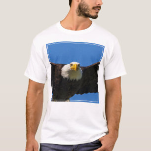 Camiseta Águia Americana passa voando perto