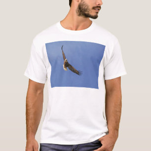 Camiseta Águia Balda em Ascensão