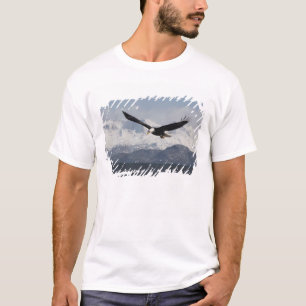 Camiseta Águia-careca em Voo, Haliaeetus leucocephalus,