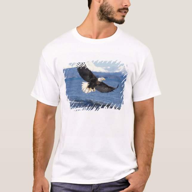 Camiseta águia-careca, Haliaeetus leuccocephalus, em voo (Frente)