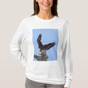 Camiseta Águia-careca (Haliaeetus leucocephalus) com asas