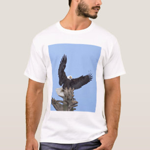 Camiseta Águia-careca (Haliaeetus leucocephalus) com asas
