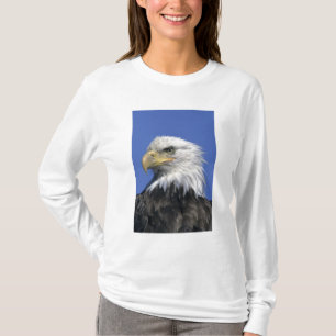 Camiseta Águia-careca, (Haliaeetus leucocephalus), selvagem