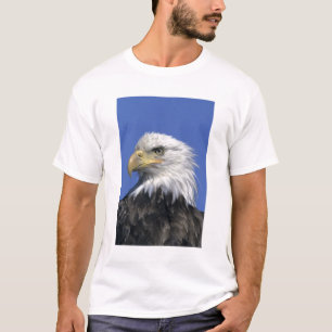 Camiseta Águia-careca, (Haliaeetus leucocephalus), selvagem