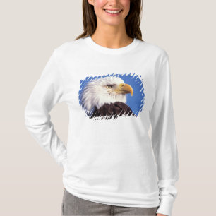 Camiseta águia-pescadora, Haliaeetus leucocephalus, close u