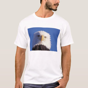 Camiseta águia-pescadora, Haliaeetus leucocephalus, foto da