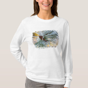 Camiseta Agulhas de pinheiro ponderosa são