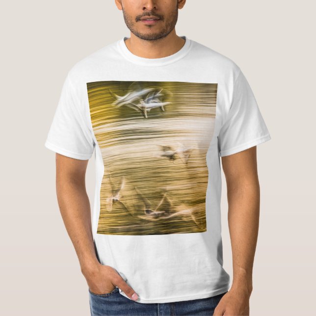 Camiseta Agulhas voadoras - abstrato (Frente)