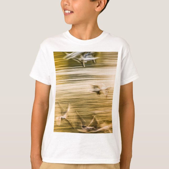 Camiseta Agulhas voadoras - abstrato (Frente)