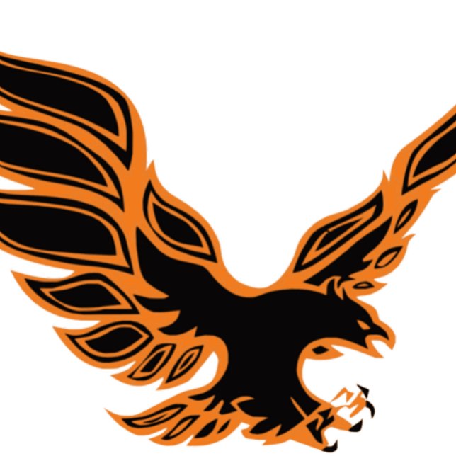 Camiseta Aigle orange (Criador carregado)