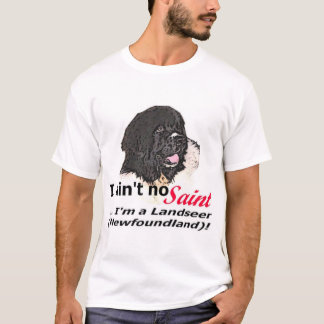 Camiseta Aint nenhum santo