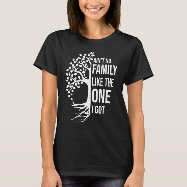 Camiseta Ain't No Family Like The One I Got  Family Reunion (Frente)