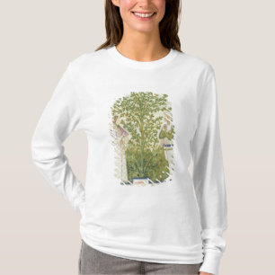 Camiseta Aipo do Lat de Nouv Acq, 'de Tacuinum Sanitatis