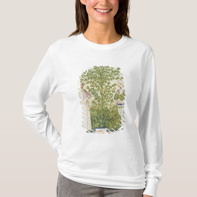 Camiseta Aipo do Lat de Nouv Acq, 'de Tacuinum Sanitatis (Frente)