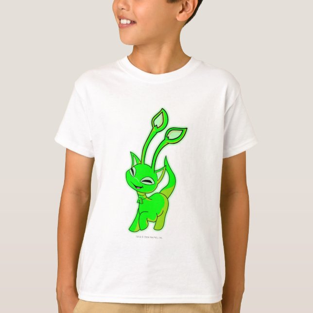 Camiseta Aisha Glowe (Frente)