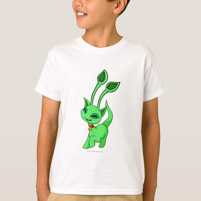 Camiseta Aisha Green (Frente)