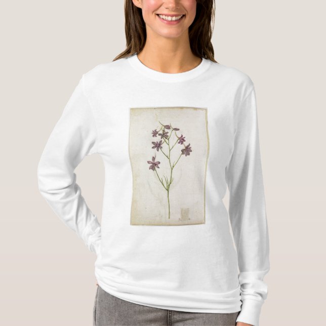 Camiseta Ajacis do Delphinium, c.1568 (Frente)