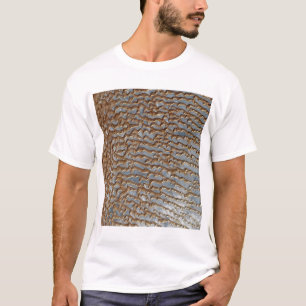 Camiseta Al Khali de Rub, Arábia