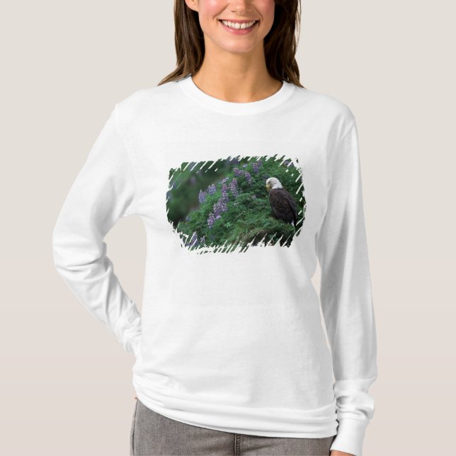 Camiseta Alasca, Ilha de Unalaska, Águia Balda entre Nootka (Frente)