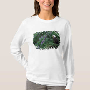 Camiseta Alasca, Ilha Unalaska Águia-careca entre Nootka
