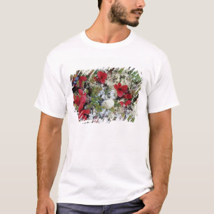 Camiseta Alasca, Parque Nacional Denali, a tundra ártica é