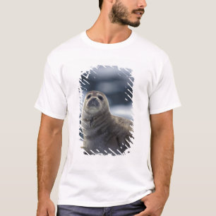 Camiseta Alasca, região sudeste Foca-do-porto no gelo