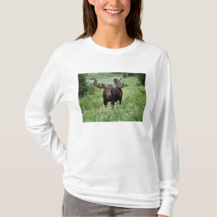 Camiseta Alce macho Alces alces) em flores silvestres,