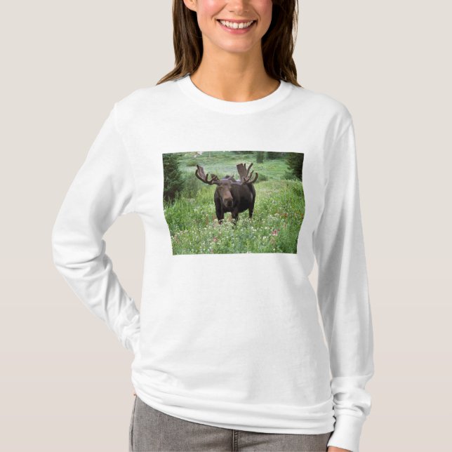 Camiseta Alce macho Alces alces) em flores silvestres, (Frente)