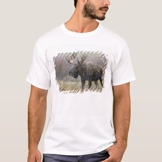 Camiseta Alce macho em tempestade de neve com árvores de ál (Frente)