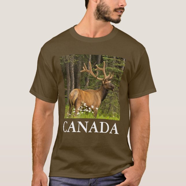 Camiseta Alce macho em veludo, Canadá (Frente)