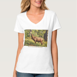Camiseta Alce macho no Parque Nacional das Montanhas Rochos