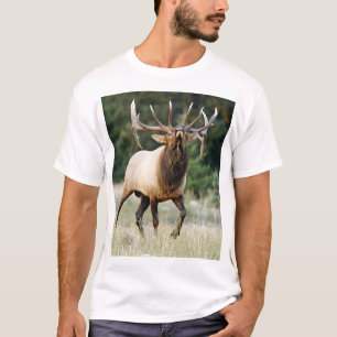 Camiseta Alces 3 de Bugleing, "chamada do selvagem "