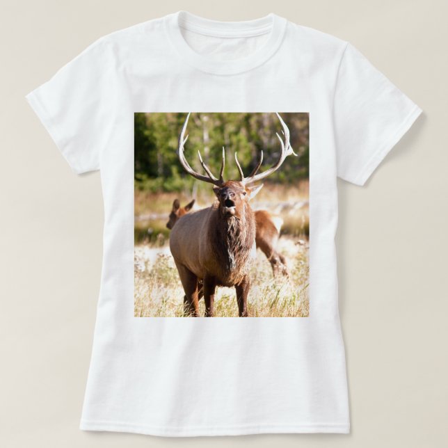 Camiseta Alces Bugling (Frente do Design)