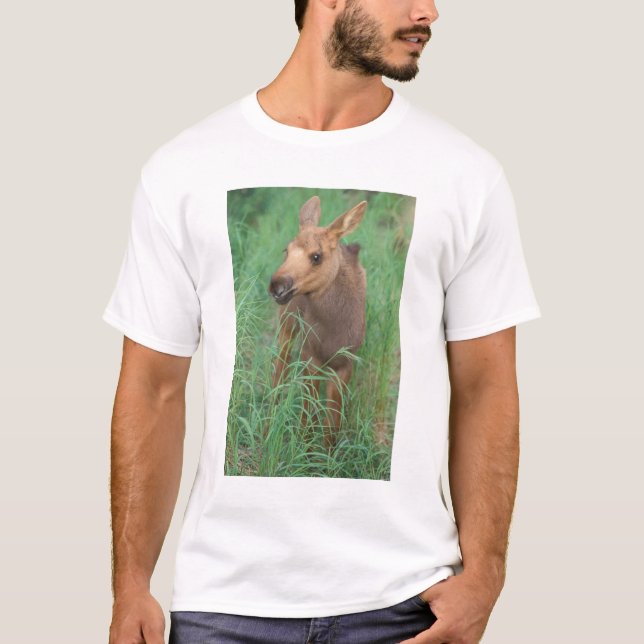 Camiseta alces de alces, estantes de vitelos recém-nascidos (Frente)
